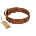 "Silver Century" Fashionable FDT Artisan Tan Leather American Bulldog Collar with Silver-Like Plates