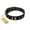 "De Luxe" FDT Artisan Black Leather American Bulldog Collar with Old Bronze-like Plates and Studs
