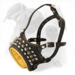 Gorgeous Decorative Leather Muzzle for Daily Use of Your American Bulldog