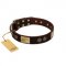"Bow-Wow Effect" FDT Artisan Brown Leather American Bulldog Collar with Plates and Ornate Studs