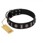 "Silver Spikes" Exclusive FDT Artisan Black Leather American Bulldog Collar