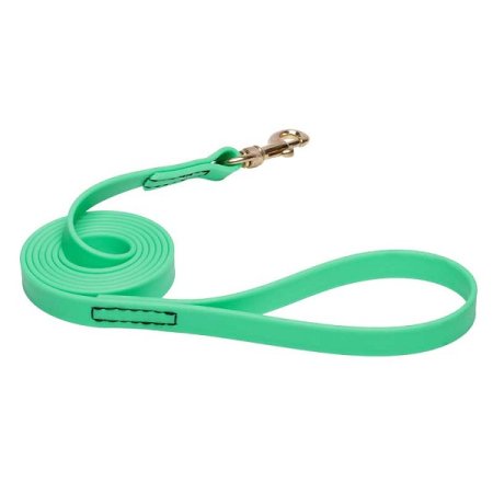 Green Waterproof American Bulldog Leash Made of Biothane