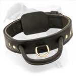 2 Ply Leather Dog Collar for American Bulldog