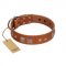 "Egyptian Gifts" Handmade FDT Artisan Tan Leather American Bulldog Collar with Chrome-plated Pyramids