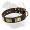 Decorated Leather Dog Collar for American Bulldog