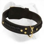 Hand Made Leather Braided Collar for Training and Walking American Bulldog