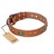 "Stunning Dress" FDT Artisan Tan Leather American Bulldog Collar with Old Bronze Look Plates and Studs