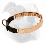 19 Inch American Bulldog Pinch Prong Collar Made of Curogan