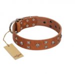 "Enchanted Skulls" FDT Artisan Tan Leather American Bulldog Collar with Chrome Plated Skulls