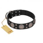 "Sun in Shining" Modern FDT Artisan Black Leather American Bulldog Collar with Studs and Stars