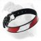 Trendy and Masterly Worked Leather Collar with Hand-Painted American Flag Symbols
