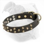 Leather Dog Collar with Pyramids for American Bulldog