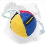 35% OFF - LIMITED OFFER! 9 Cm French Linen Bite Ball for American Bulldog Training and Playing