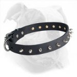 Designer Spiked Leather American Bulldog Collar for Fashionable Walking