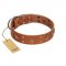 "Dreamy Gleam" FDT Artisan Tan Leather American Bulldog Collar Adorned with Stars and Squares