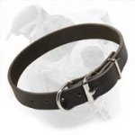 Light and Super Comfortable Leather Collar to Train or Walk Your American Bulldog