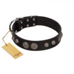 "Tricky Ricky" FDT Artisan Black Leather American Bulldog Collar Adorned with Silver-Like Conchos