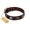 "Nut-Brown Finery" Embellished FDT Artisan Brown Leather American Bulldog Collar with Chrome Plated Crossbones and Plates