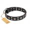 "Refined Essence" FDT Artisan Black Leather American Bulldog Collar with Silvery Studs