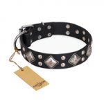 "Smart Geometry" FDT Artisan Studded Leather American Bulldog Collar