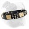 Fashion Leather Dog Collar with Nickel Spikes & Studs and Brass Plates for American Bulldog