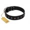 "Flower Rhapsody" FDT Artisan Premium Quaulity Black Leather American Bulldog Collar