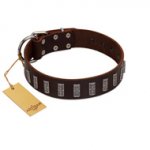 "Brown Lace" Handmade FDT Artisan Brown Leather American Bulldog Collar for Everyday Walks