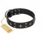 "Star Excitement" Modern FDT Artisan Black Leather American Bulldog Collar with Studs and Stars