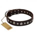 "Gorgeous Shields" FDT Artisan Brown Leather American Bulldog Collar with Old Silver-like Circles and Small Camomiles