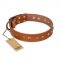 "Spring Flavor" FDT Artisan Adorned Leather American Bulldog Collar with Old Bronze-Plated Engraved Studs