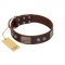 "Stone Stars" Stylish Handmade FDT Artisan Brown Leather American Bulldog Collar