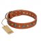 "Natural Beauty" FDT Artisan Tan Leather American Bulldog Collar with Shining Silver-like Studs
