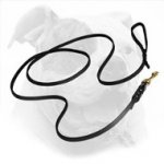 Braided Leather American Bulldog Leash for Walking and Training