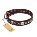 "Perfect Impression" FDT Artisan Brown Leather American Bulldog Collar with Square Studs - 1 1/2 inch (40 mm) Wide