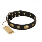 "Eye-Catcher" FDT Artisan Black Leather American Bulldog Collar for Walking in Style