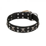 FDT Artisan 'Rock 'n' Roll Style' Fancy Leather American Bulldog Collar with Skulls, Bones and Studs 1 1/2 inch (40 mm) wide