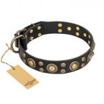 'Baroque Chic' FDT Artisan Studded Black Leather American Bulldog Collar