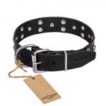 FDT Artisan 'Mystic Skulls' Decorated Leather American Bulldog Collar with Skulls and Studs 1 1/2 inch (40 mm)