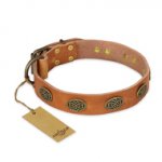 "Magic Amulet" FDT Artisan Tan Leather American Bulldog Collar with Oval Studs