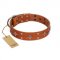 "Tawny Beauty" FDT Artisan Tan Leather American Bulldog Collar Adorned with Stars and Tiny Squares