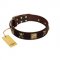 "Crazy Pirate" FDT Artisan Brown Leather American Bulldog Collar with Old Bronze-Plated Skulls and Plates
