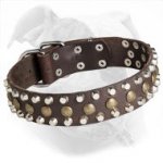 Leather American Bulldog Collar with Studs and Pyramids