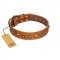 "Prez of the Pack" FDT Artisan Tan Leather American Bulldog Collar with Skulls and Brooches