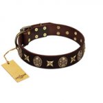 "Captain Hook" FDT Artisan Brown Leather American Bulldog Collar with Stars and Skulls