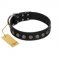 "Silent Star" Handmade FDT Artisan Designer Black Leather American Bulldog Collar with Engraved Plates