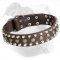 Leather American Bulldog Collar with Studs and Pyramids