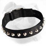 Fashionable and Serviceable Nylon Dog Training Collar for American Bulldog Breed