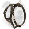 Studded Leather Puppy Harness for American Bulldog