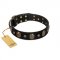 Pirate's Spell' FDT Artisan Black Leather American Bulldog Collar with Engraved Studs and Medallions