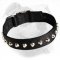Fashionable and Serviceable Nylon Dog Training Collar for American Bulldog Breed